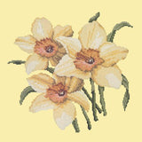 Daffodils Needlepoint Kit Elizabeth Bradley Design Butter Yellow 