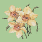 Daffodils Needlepoint Kit Elizabeth Bradley Design Pale Green 