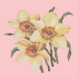 Daffodils Needlepoint Kit Elizabeth Bradley Design Pale Rose 