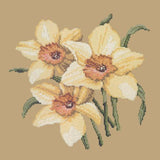Daffodils Needlepoint Kit Elizabeth Bradley Design Sand 