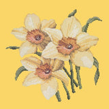 Daffodils Needlepoint Kit Elizabeth Bradley Design Sunflower Yellow 