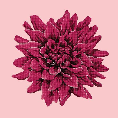 Dahlia Needlepoint Kit Elizabeth Bradley Design Pale Rose 