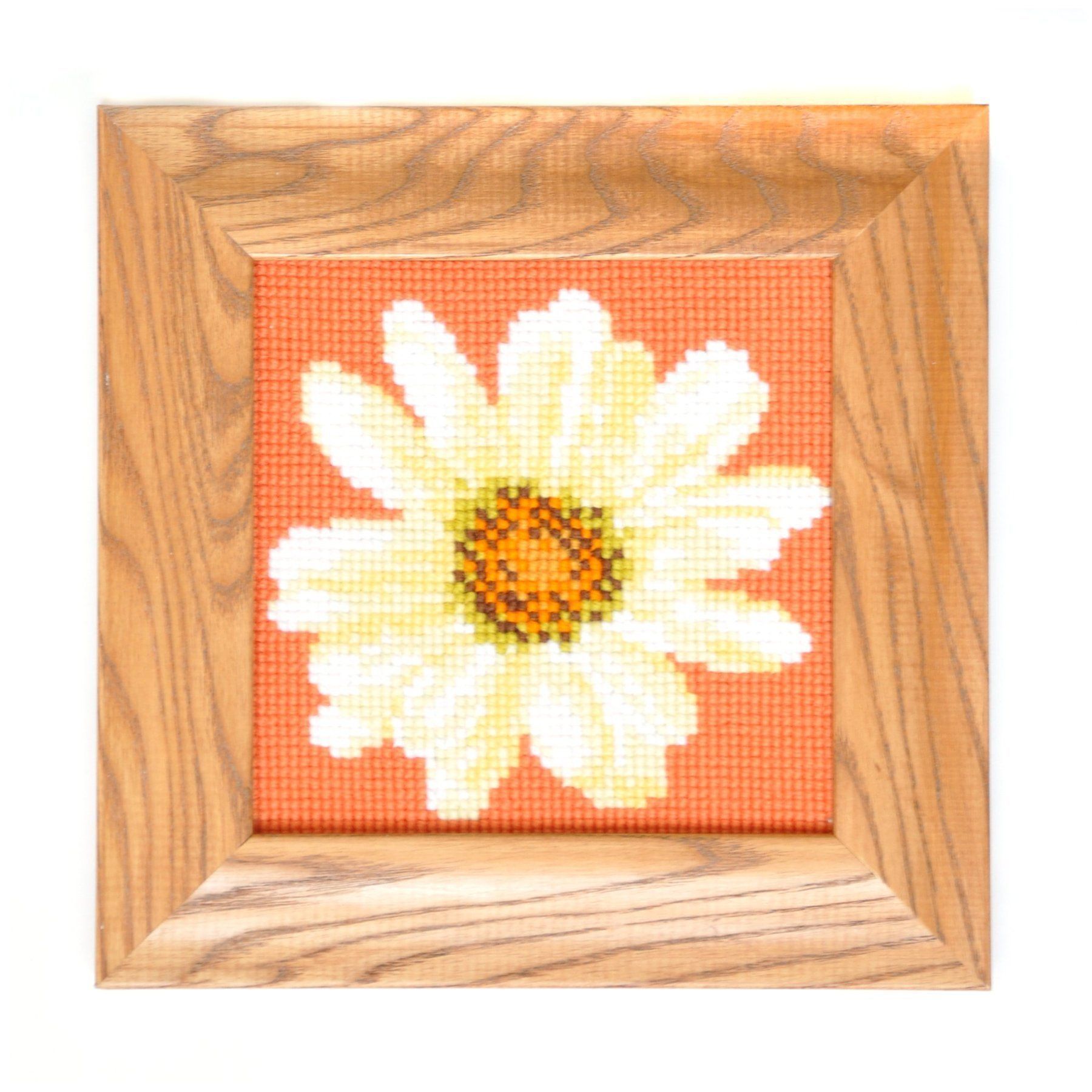 Daisy Mini Kit Needlepoint Kit Elizabeth Bradley Design 