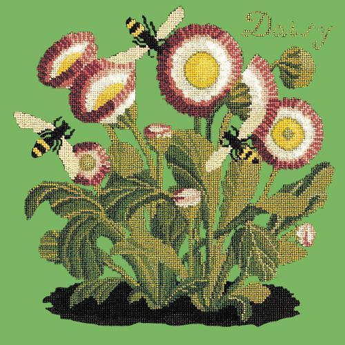 Daisy Needlepoint Kit Elizabeth Bradley Design Grass Green 