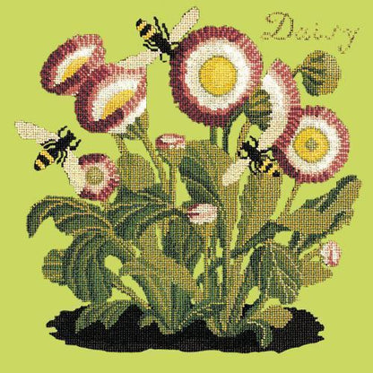 Daisy Needlepoint Kit Elizabeth Bradley Design Pale Lime 