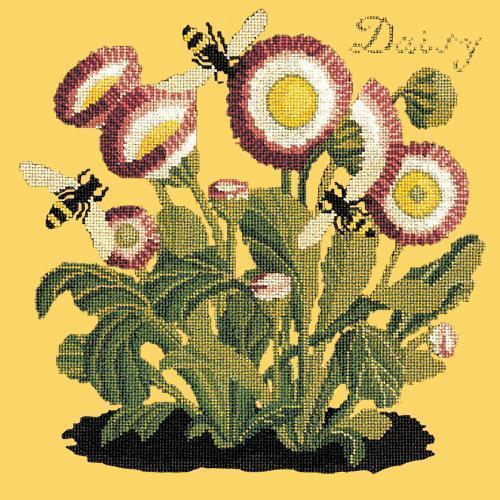 Daisy Needlepoint Kit Elizabeth Bradley Design Sunflower Yellow 