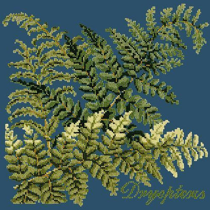 Dryopteris Needlepoint Kit Elizabeth Bradley Design Dark Blue 