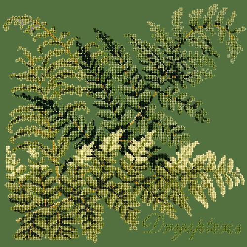 Dryopteris Needlepoint Kit Elizabeth Bradley Design Dark Green 