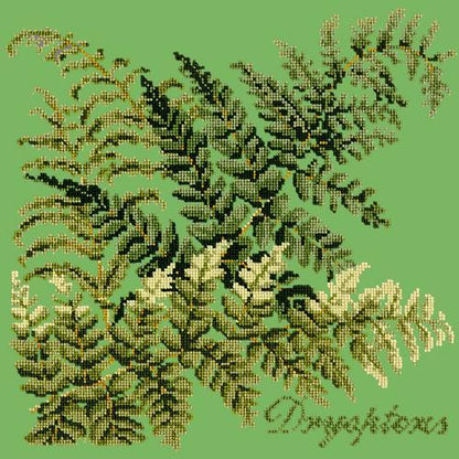 Dryopteris Needlepoint Kit Elizabeth Bradley Design Grass Green 