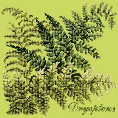 Dryopteris Needlepoint Kit Elizabeth Bradley Design Pale Lime 