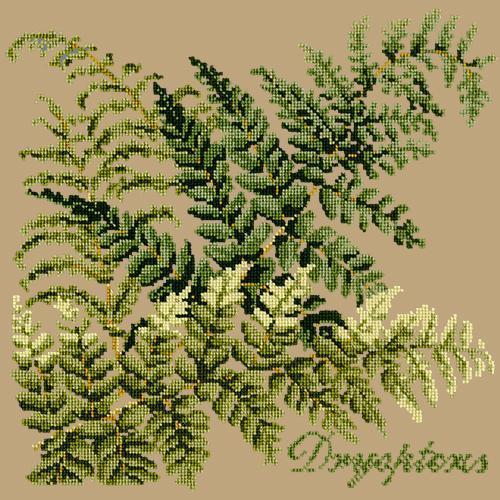 Dryopteris Needlepoint Kit Elizabeth Bradley Design Sand 