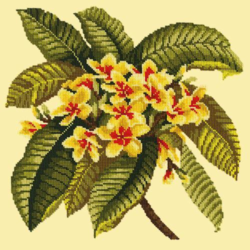 Frangipani Needlepoint Kit Elizabeth Bradley Design Butter Yellow 