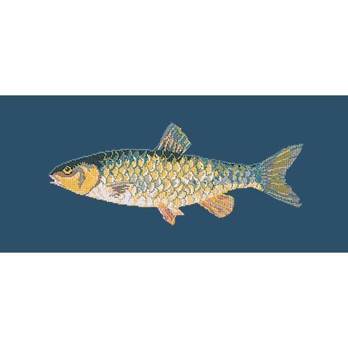 Freshwater Chub Needlepoint Kit Elizabeth Bradley Design Dark Blue 