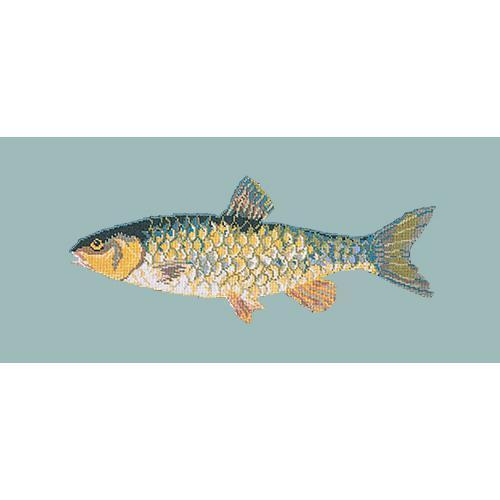 Freshwater Chub Needlepoint Kit Elizabeth Bradley Design 