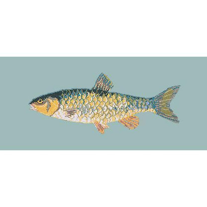 Freshwater Chub Needlepoint Kit Elizabeth Bradley Design 