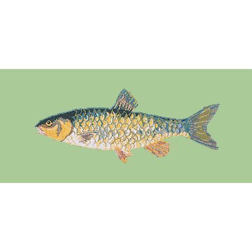 Freshwater Chub Needlepoint Kit Elizabeth Bradley Design Pale Green 