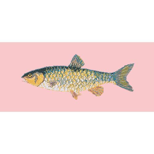 Freshwater Chub Needlepoint Kit Elizabeth Bradley Design Pale Rose 