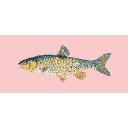 Freshwater Chub Needlepoint Kit Elizabeth Bradley Design Pale Rose 