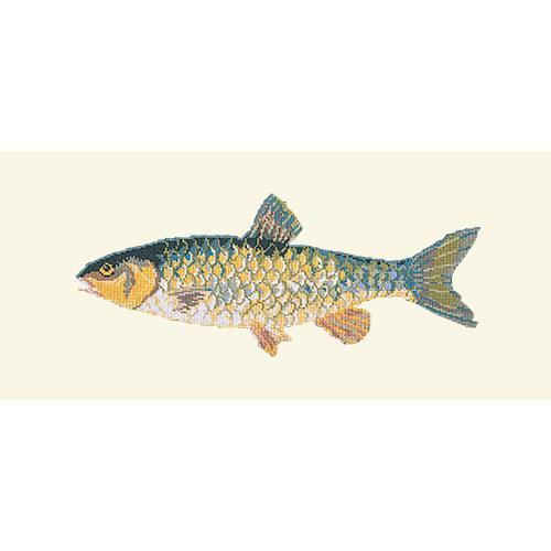 Freshwater Chub Needlepoint Kit Elizabeth Bradley Design Winter White 