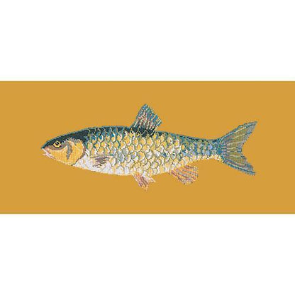 Freshwater Chub Needlepoint Kit Elizabeth Bradley Design Yellow 