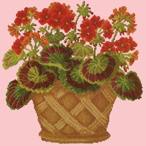 Geranium Pot Needlepoint Kit Elizabeth Bradley Design Pale Rose 