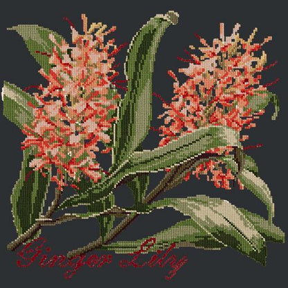 Ginger Lily Needlepoint Kit Elizabeth Bradley Design 