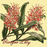 Ginger Lily Needlepoint Kit Elizabeth Bradley Design Butter Yellow 