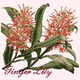 Ginger Lily Needlepoint Kit Elizabeth Bradley Design 