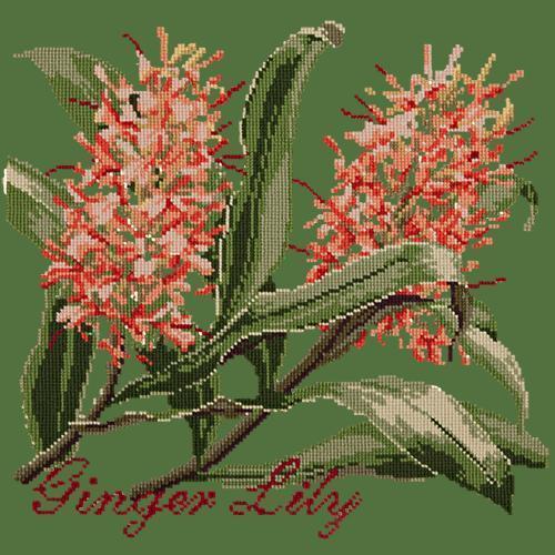 Ginger Lily Needlepoint Kit Elizabeth Bradley Design Dark Green 