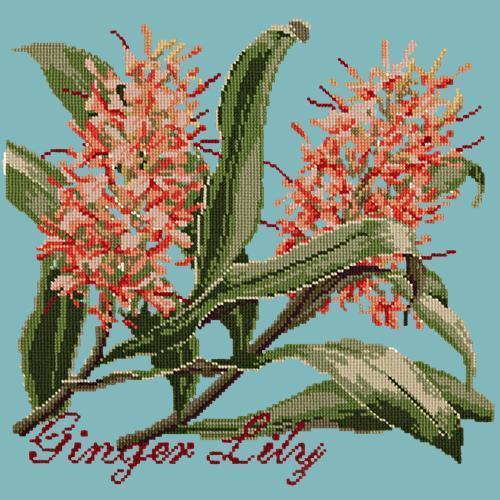 Ginger Lily Needlepoint Kit Elizabeth Bradley Design Duck Egg Blue 