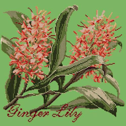 Ginger Lily Needlepoint Kit Elizabeth Bradley Design Grass Green 