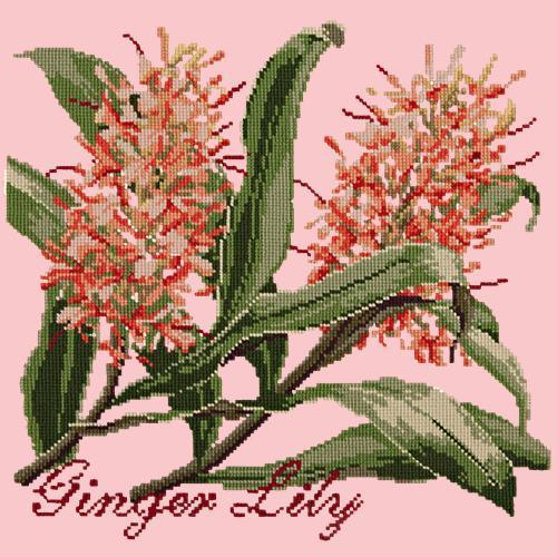 Ginger Lily Needlepoint Kit Elizabeth Bradley Design Pale Rose 