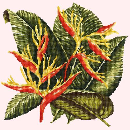 Heliconia Needlepoint Kit Elizabeth Bradley Design Cream 