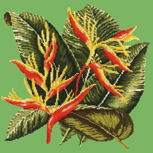 Heliconia Needlepoint Kit Elizabeth Bradley Design Grass Green 