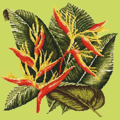 Heliconia Needlepoint Kit Elizabeth Bradley Design Pale Lime 