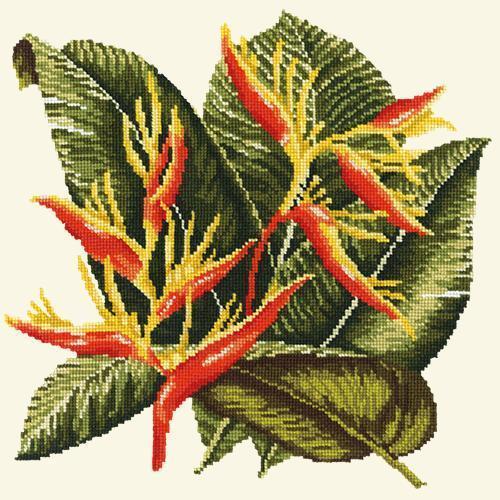 Heliconia Needlepoint Kit Elizabeth Bradley Design 