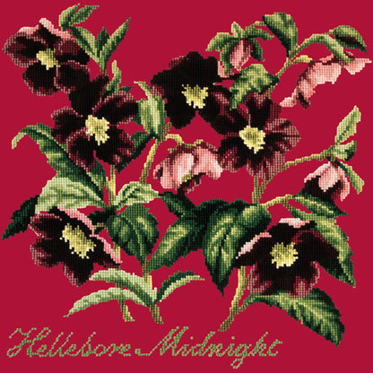 Hellebore Midnight Needlepoint Kit Elizabeth Bradley Design Bright Red 