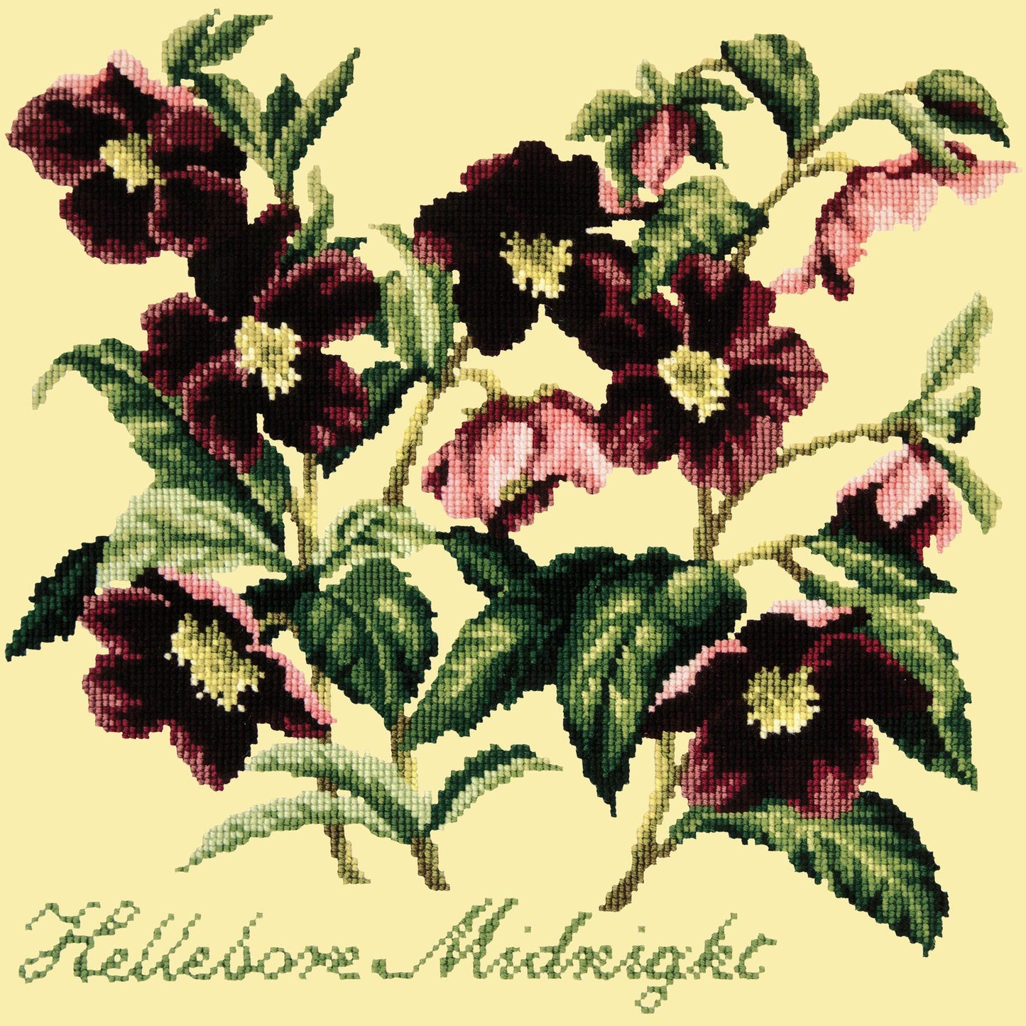 Hellebore Midnight Needlepoint Kit Elizabeth Bradley Design Butter Yellow 