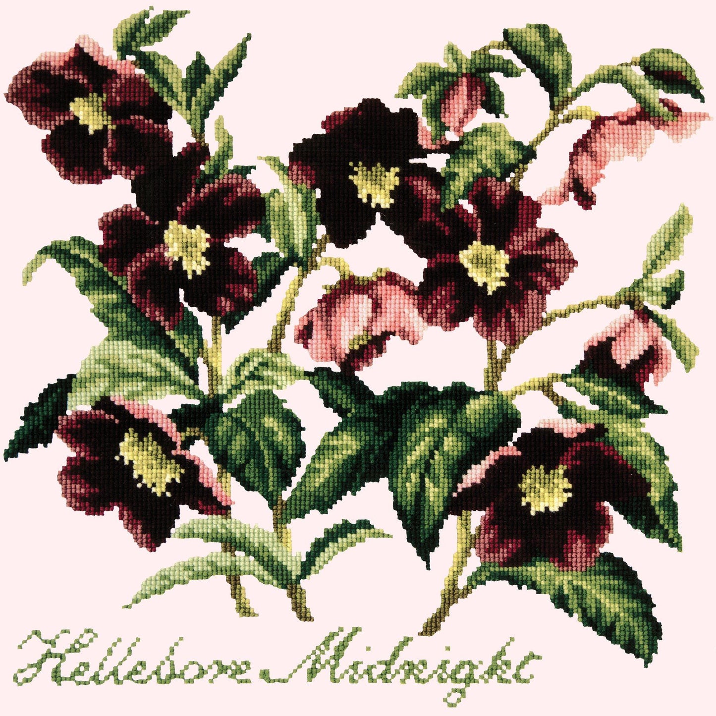 Hellebore Midnight Needlepoint Kit Elizabeth Bradley Design 