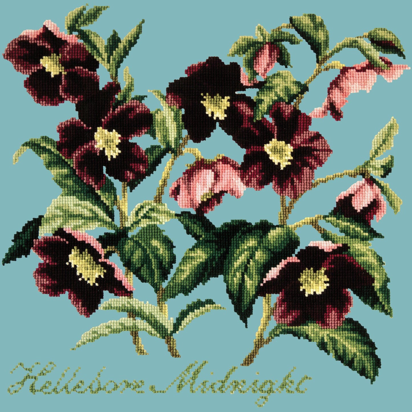 Hellebore Midnight Needlepoint Kit Elizabeth Bradley Design Duck Egg Blue 