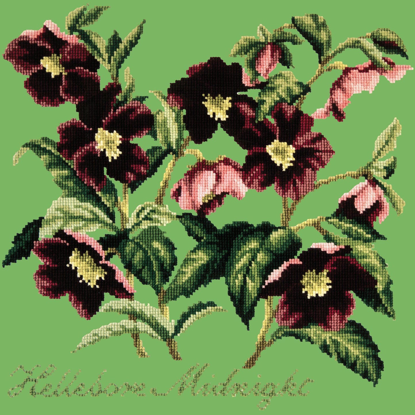 Hellebore Midnight Needlepoint Kit Elizabeth Bradley Design Grass Green 