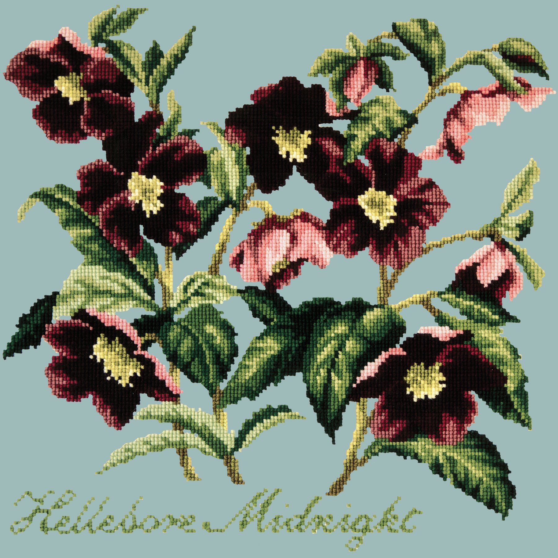 Hellebore Midnight Needlepoint Kit Elizabeth Bradley Design Pale Blue 