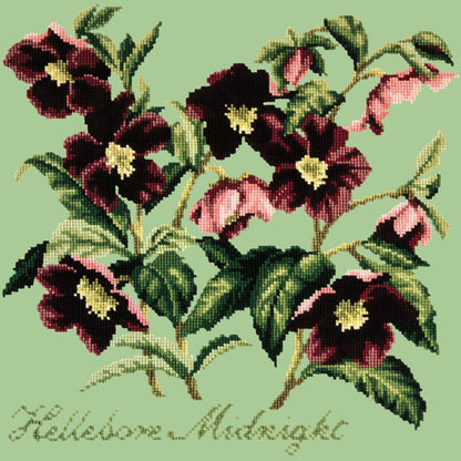 Hellebore Midnight Needlepoint Kit Elizabeth Bradley Design Pale Green 