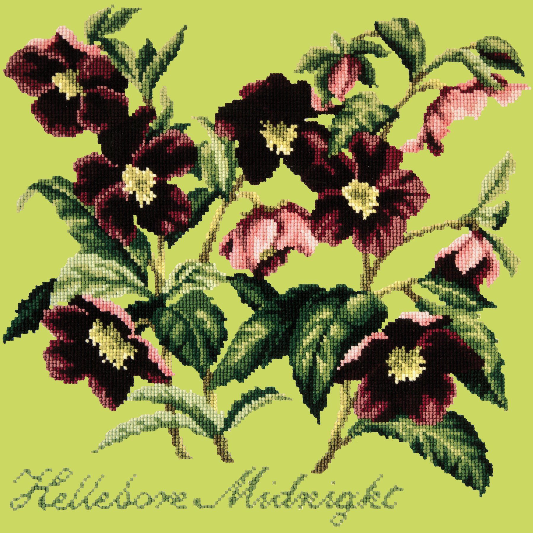 Hellebore Midnight Needlepoint Kit Elizabeth Bradley Design Pale Lime 