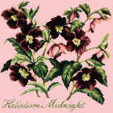 Hellebore Midnight Needlepoint Kit Elizabeth Bradley Design Pale Rose 