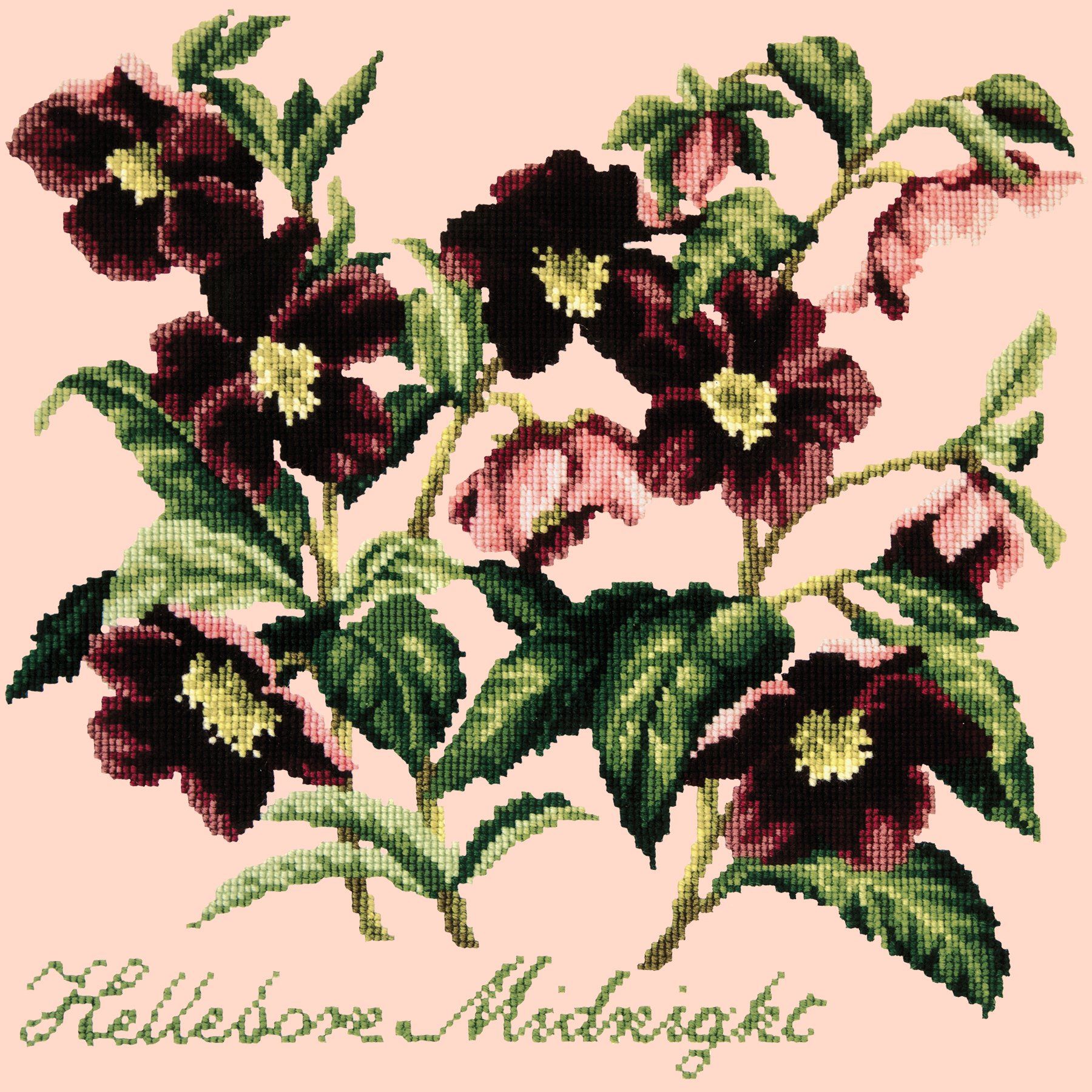 Hellebore Midnight Needlepoint Kit Elizabeth Bradley Design Salmon Pink 