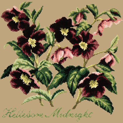 Hellebore Midnight Needlepoint Kit Elizabeth Bradley Design Sand 