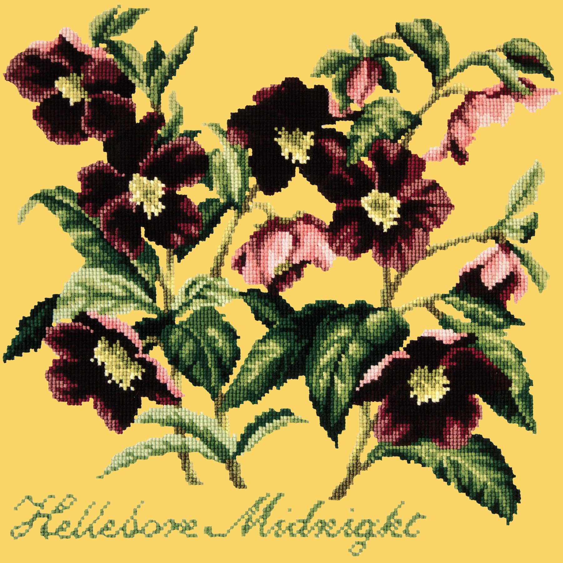 Hellebore Midnight Needlepoint Kit Elizabeth Bradley Design Sunflower Yellow 