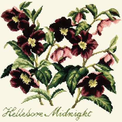 Hellebore Midnight Needlepoint Kit Elizabeth Bradley Design Winter White 