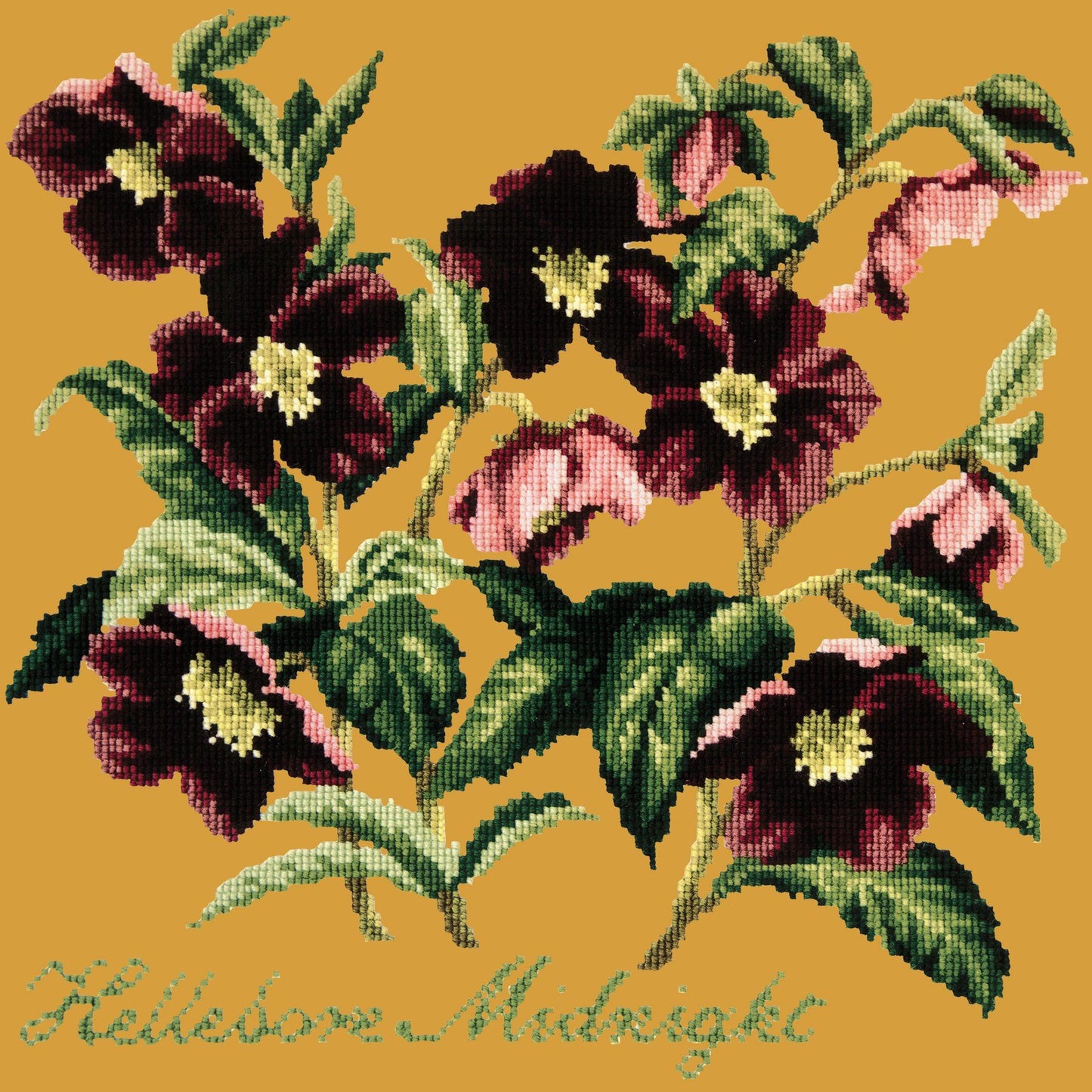 Hellebore Midnight Needlepoint Kit Elizabeth Bradley Design Yellow 